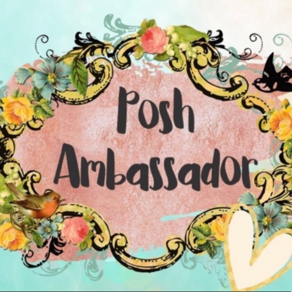 POSH ABASSADOR
